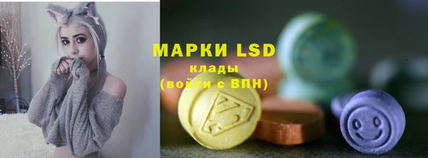индика Алексеевка