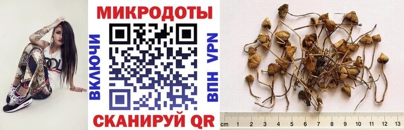 Галлюциногенные грибы мухоморы  мега ссылки  Ак-Довурак 